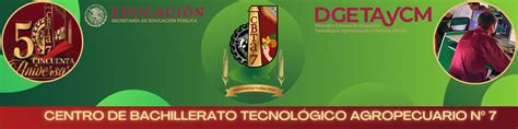 cbtf7.com|Entrega De Fichas .